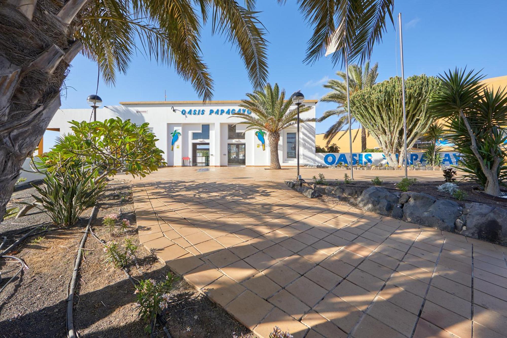 קורלחו Apartamento Samira Fuerteventura מראה חיצוני תמונה